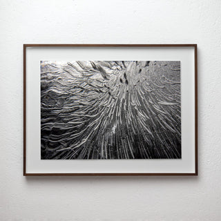 Empirical Research & Evidence No. 1171, analogue photograph exploring oil, water and light by Alexander James Hamilton