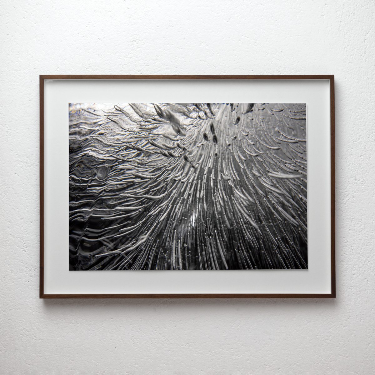 Empirical Research & Evidence No. 1171, analogue photograph exploring oil, water and light by Alexander James Hamilton