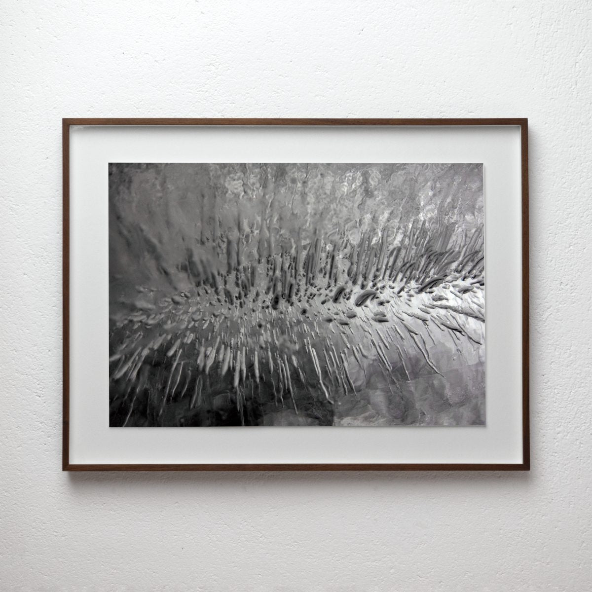 Empirical Research & Evidence No. 0221, analogue photograph exploring oil, water and light by Alexander James Hamilton