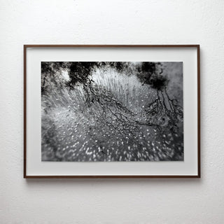 Empirical Research & Evidence No. 0882, analogue photograph exploring oil, water and light by Alexander James Hamilton
