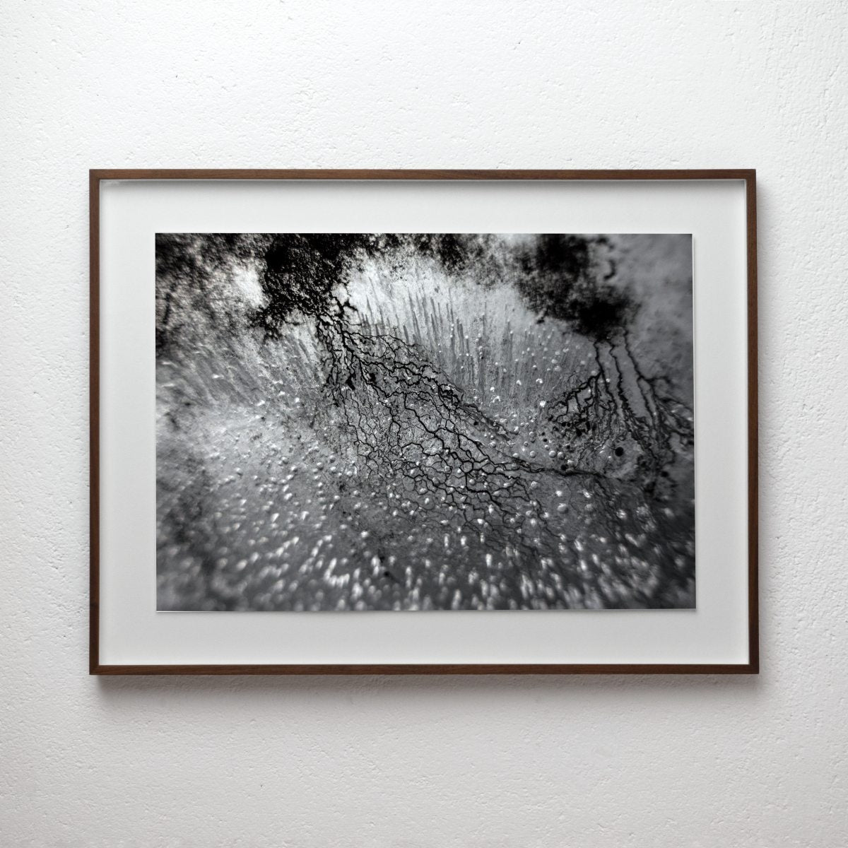 Empirical Research & Evidence No. 0882, analogue photograph exploring oil, water and light by Alexander James Hamilton