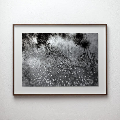 Empirical Research & Evidence - Plate 0882