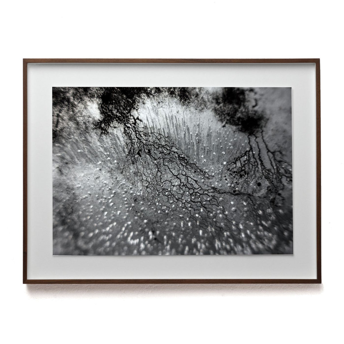 Additional view of Empirical Research & Evidence No. 0882, analogue photograph exploring oil, water and light by Alexander James Hamilton