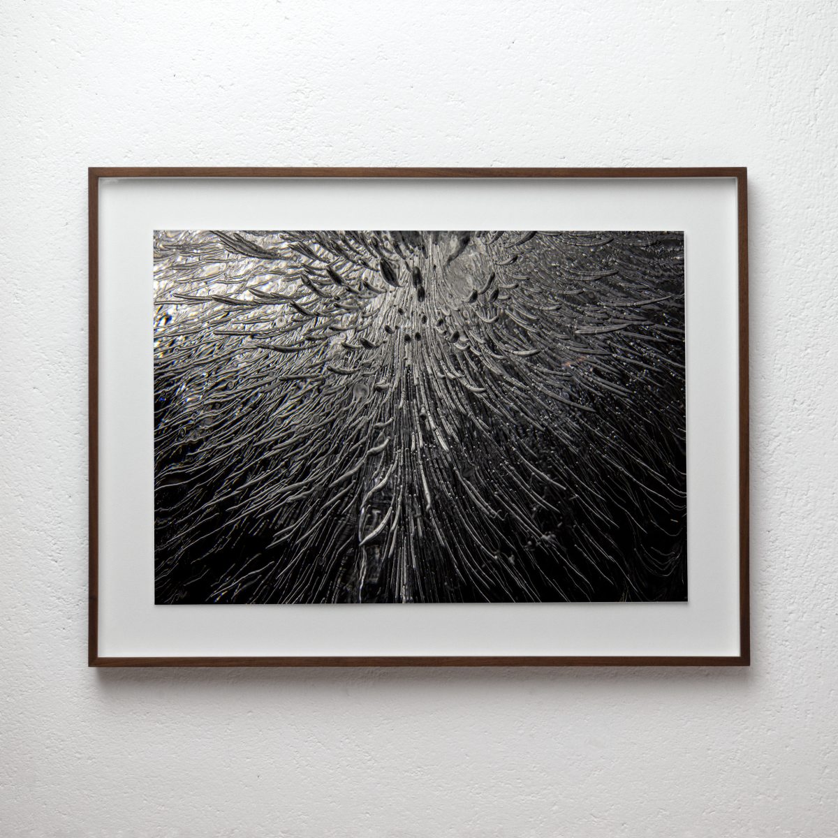 Empirical Research & Evidence No. 1176, analogue photograph exploring oil, water and light by Alexander James Hamilton