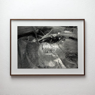 Empirical Research & Evidence No. 1087, analogue photograph exploring oil, water and light by Alexander James Hamilton