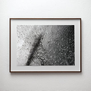framed black and white analogue photograph from the Empirical Research & Evidence series by Alexander James Hamilton