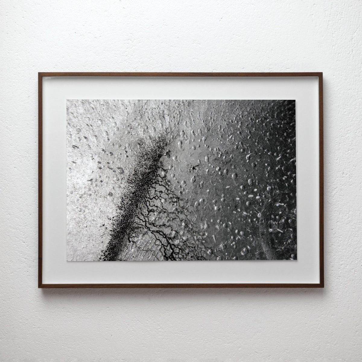 framed black and white analogue photograph from the Empirical Research & Evidence series by Alexander James Hamilton