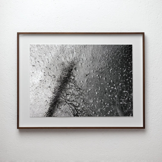 Empirical Research & Evidence No. 0865