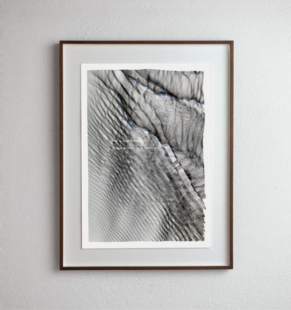 Fear is a darkroom (plate 0317)