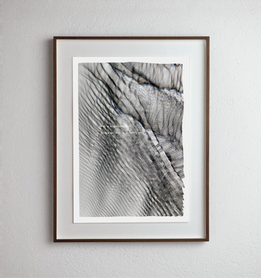 Fear is a darkroom (plate 0317)