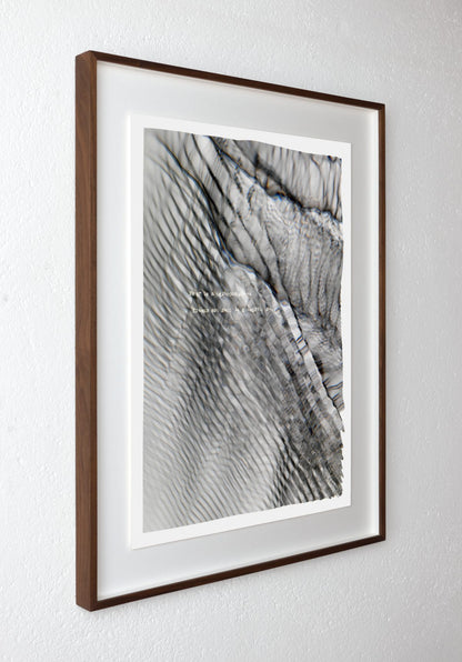 Fear is a darkroom (plate 0317)