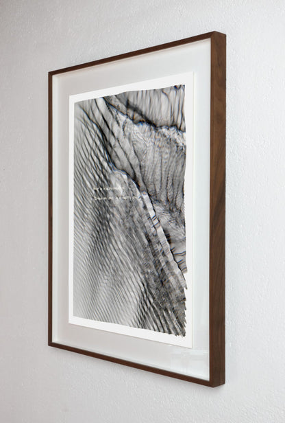 Fear is a darkroom (plate 0317)