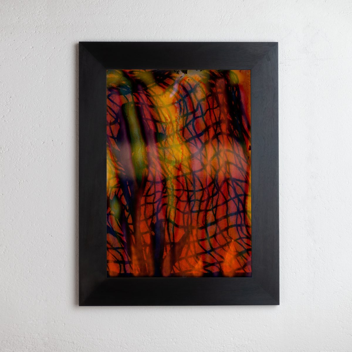 8 x 10 inch PhotoGram, Net & plastic vines