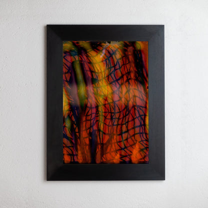 8 x 10 inch PhotoGram, Net & plastic vines