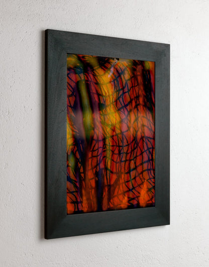 8 x 10 inch PhotoGram, Net & plastic vines