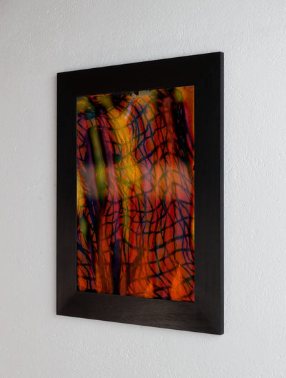 8 x 10 inch PhotoGram, Net & plastic vines