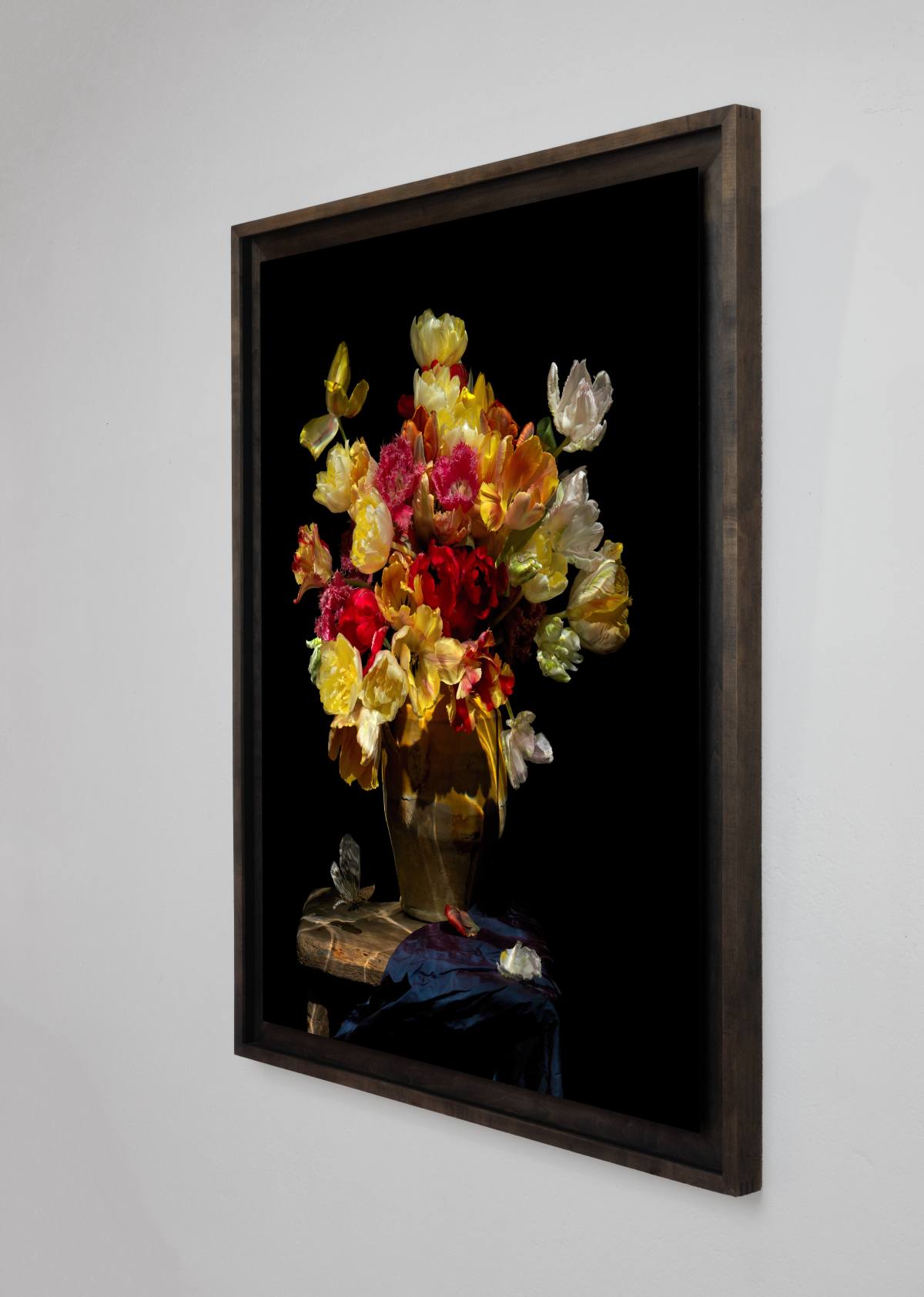 Installation view of Grace, a framed Vanitas photograph by Alexander James Hamilton
