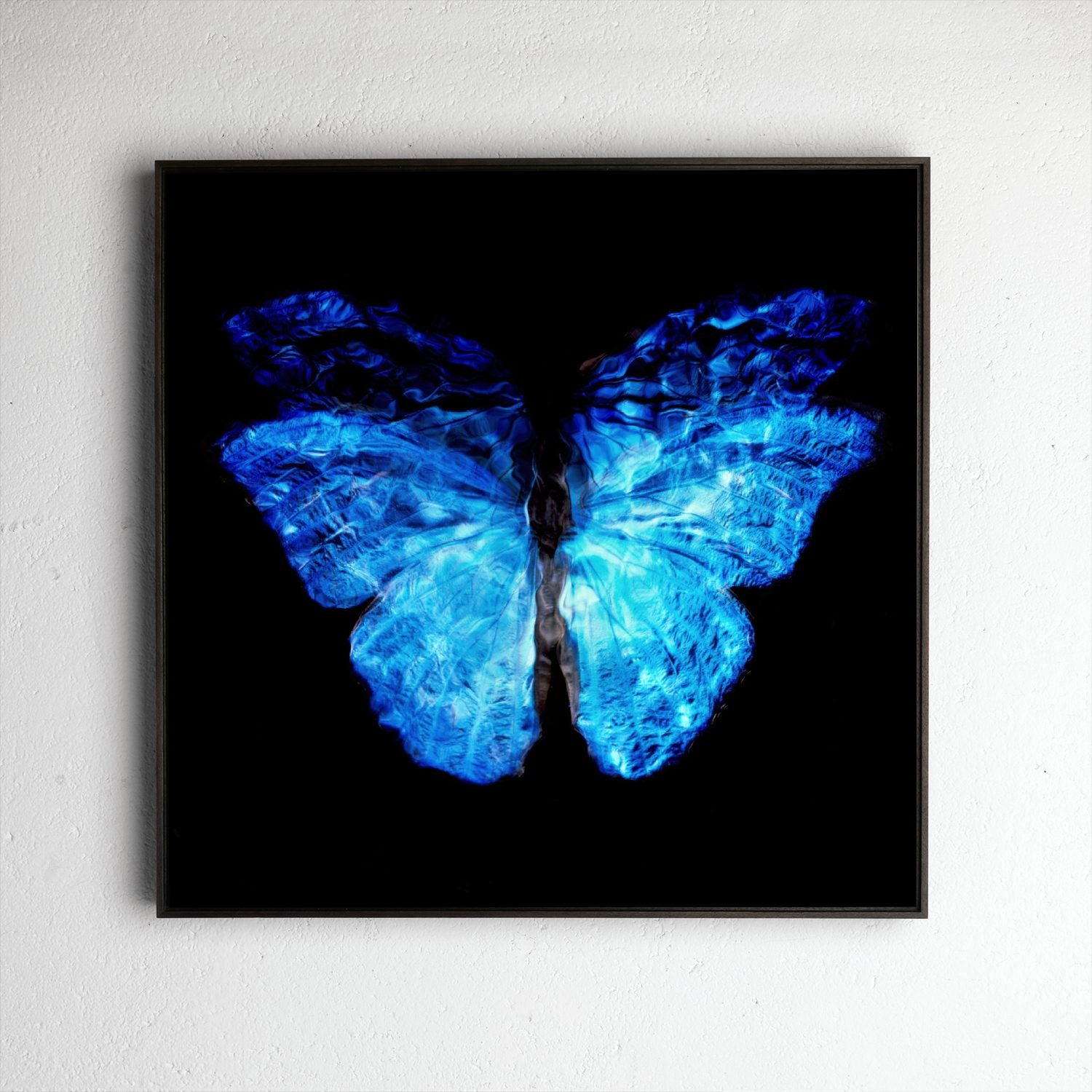 Transparency of a dream No. 0813-22, underwater analogue butterfly photograph by Alexander James Hamilton