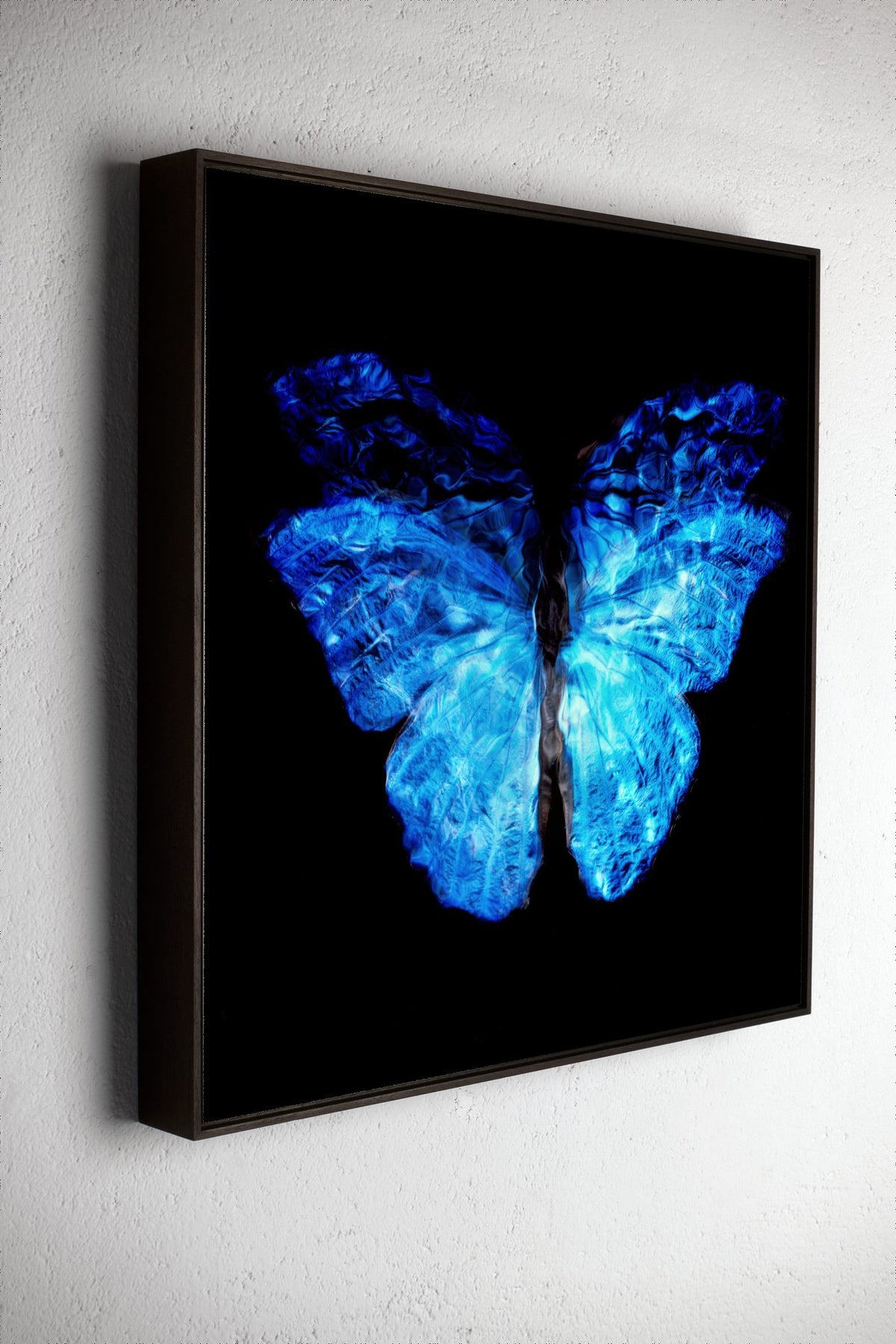 Left side view of Transparency of a dream No. 0813-22, underwater analogue butterfly photograph by Alexander James Hamilton