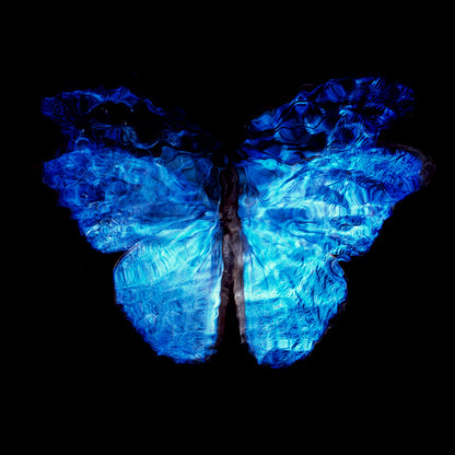 Transparency of a dream No. 0813-28