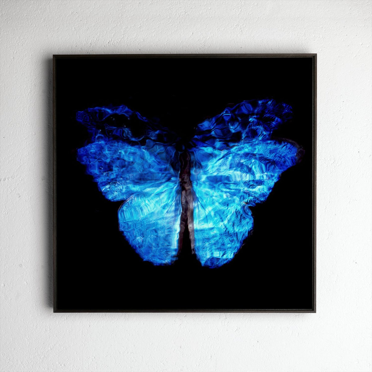 Transparency of a dream No. 0813-28, underwater analogue butterfly photograph by Alexander James Hamilton
