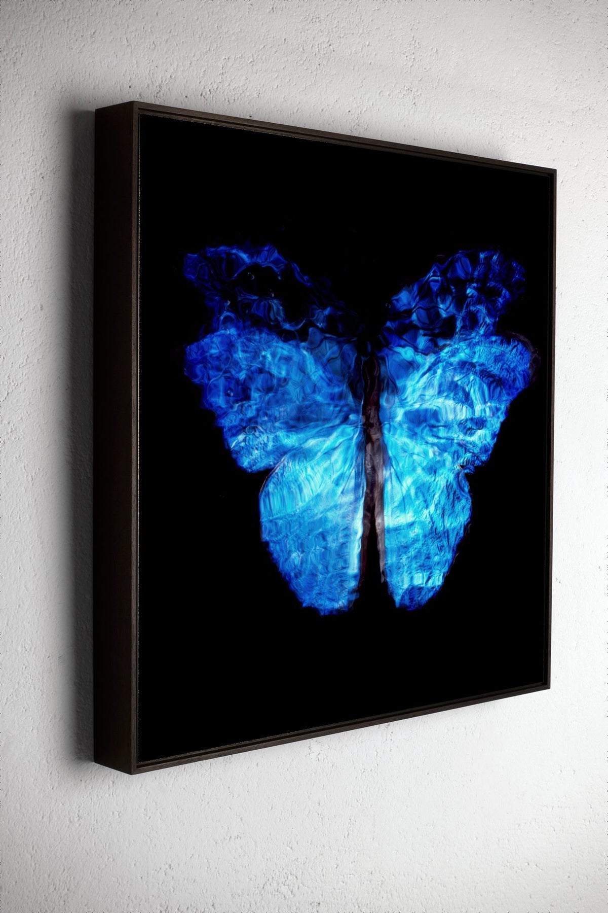 Left side view of Transparency of a dream No. 0813-28, underwater analogue butterfly photograph by Alexander James Hamilton