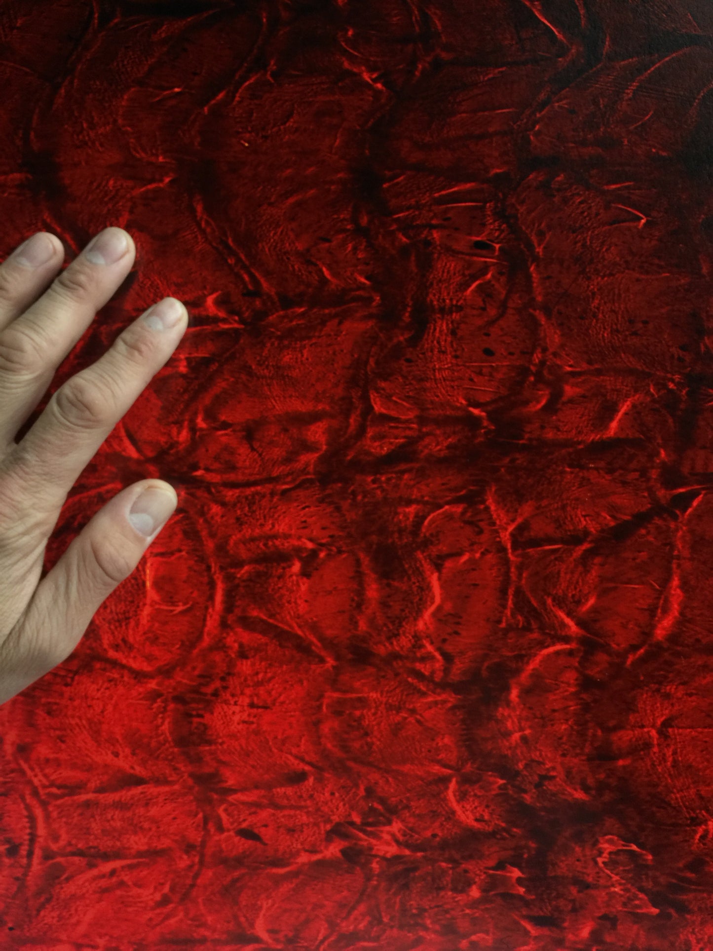 8 x 10 inch PhotoGram, Evian bottle