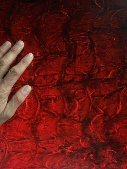 8 x 10 inch PhotoGram, Evian bottle