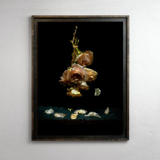 Framing and presentation detail for Isolation, analogue photographic work by Alexander James Hamilton