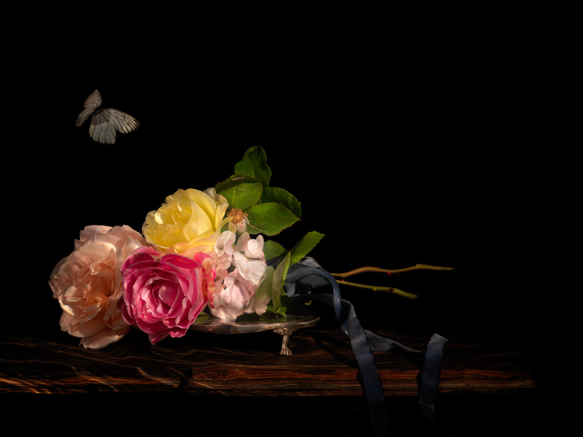 Installation view of Isis Bound, a framed Vanitas photograph by Alexander James Hamilton