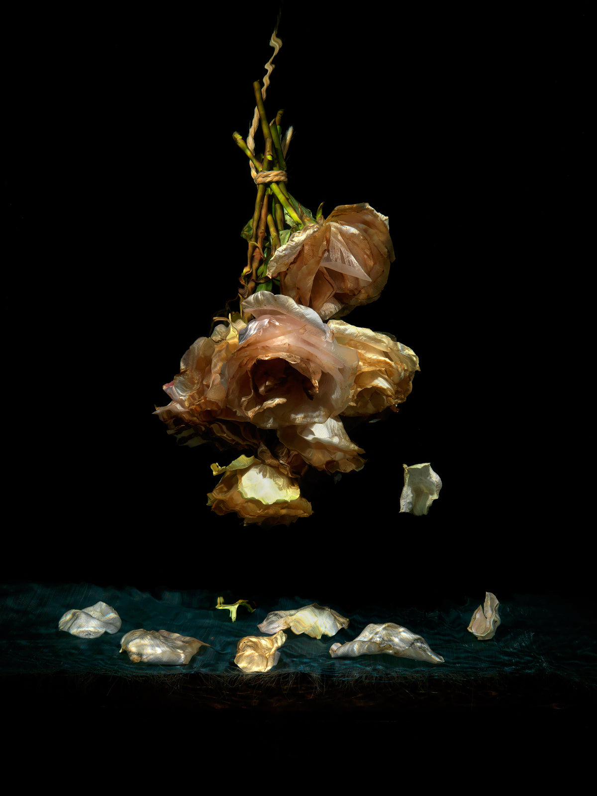 Additional view of Isolation, underwater analogue still life photograph by Alexander James Hamilton