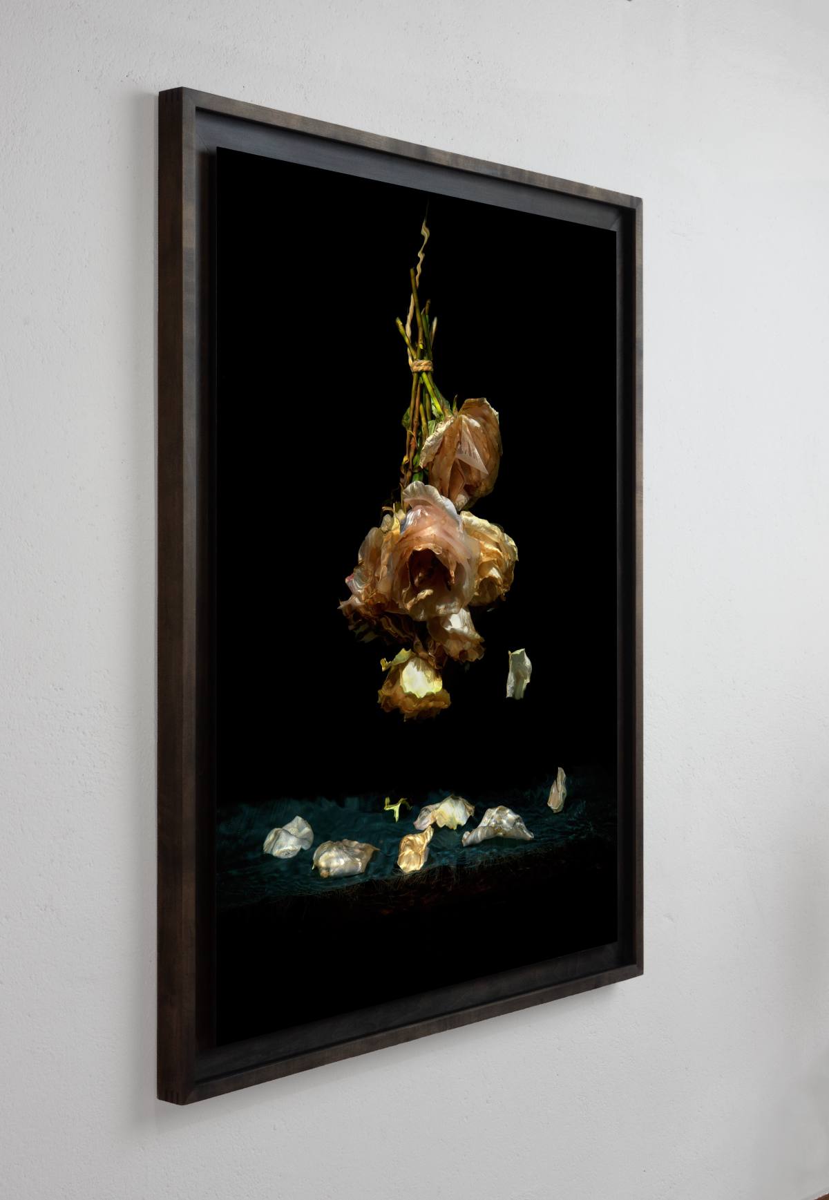 Framing and presentation detail for Isolation, analogue photographic work by Alexander James Hamilton