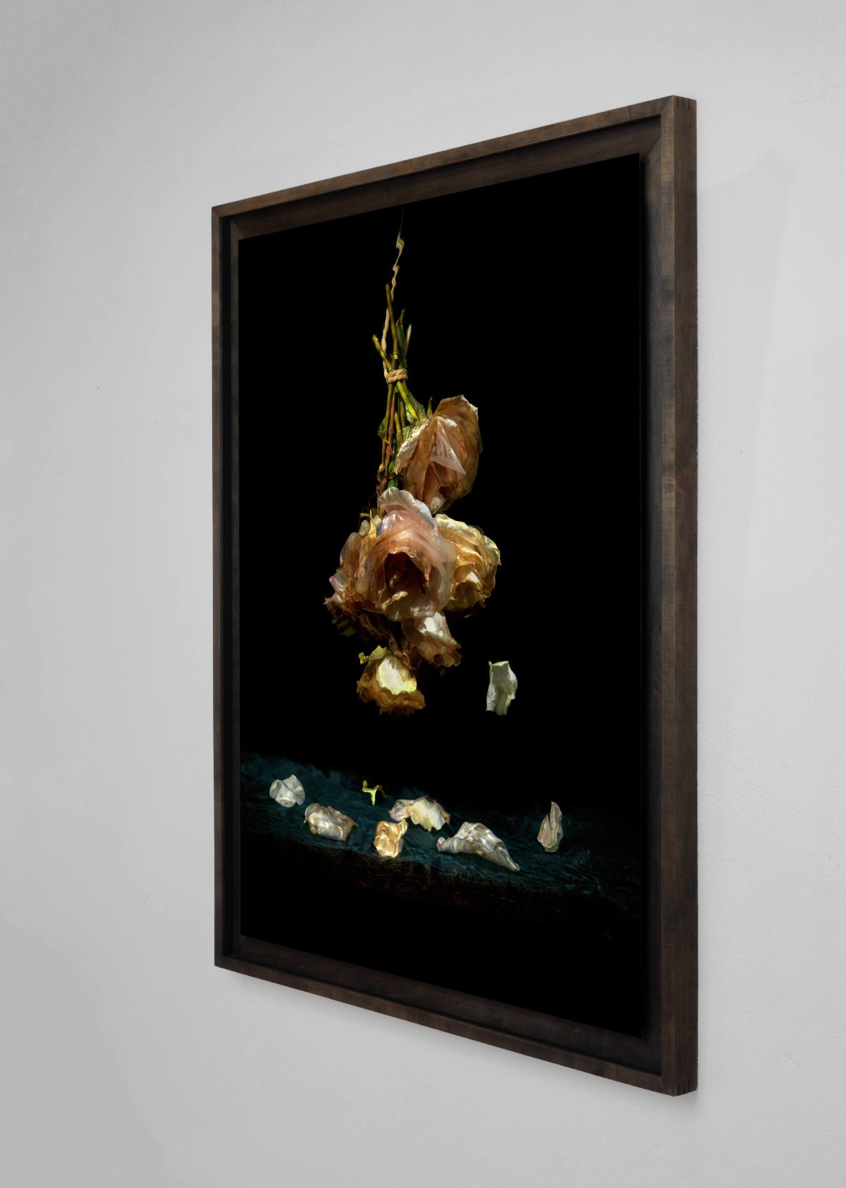 Framing and presentation detail for Isolation, analogue photographic work by Alexander James Hamilton