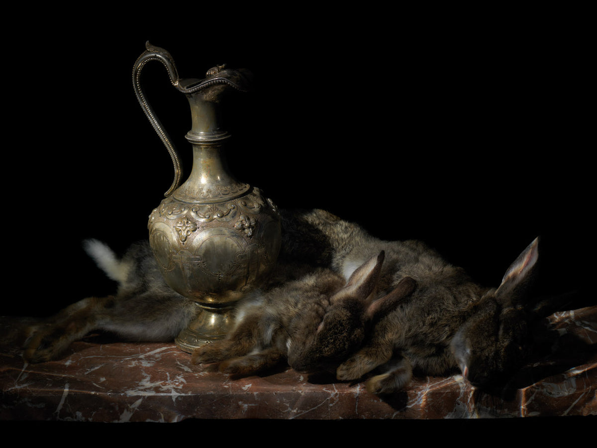 Installation view of Multiply, a framed Vanitas photograph by Alexander James Hamilton