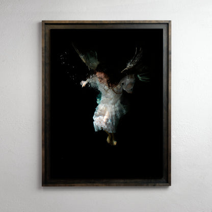 Mycenaean IV - Artists Proof No. I, underwater analogue photograph from the Goya Reborn in Water series by Alexander James Hamilton