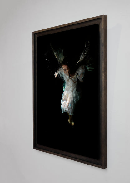 Right side view of Mycenaean IV - Artists Proof No. I, underwater analogue photograph from the Goya Reborn in Water series by Alexander James Hamilton