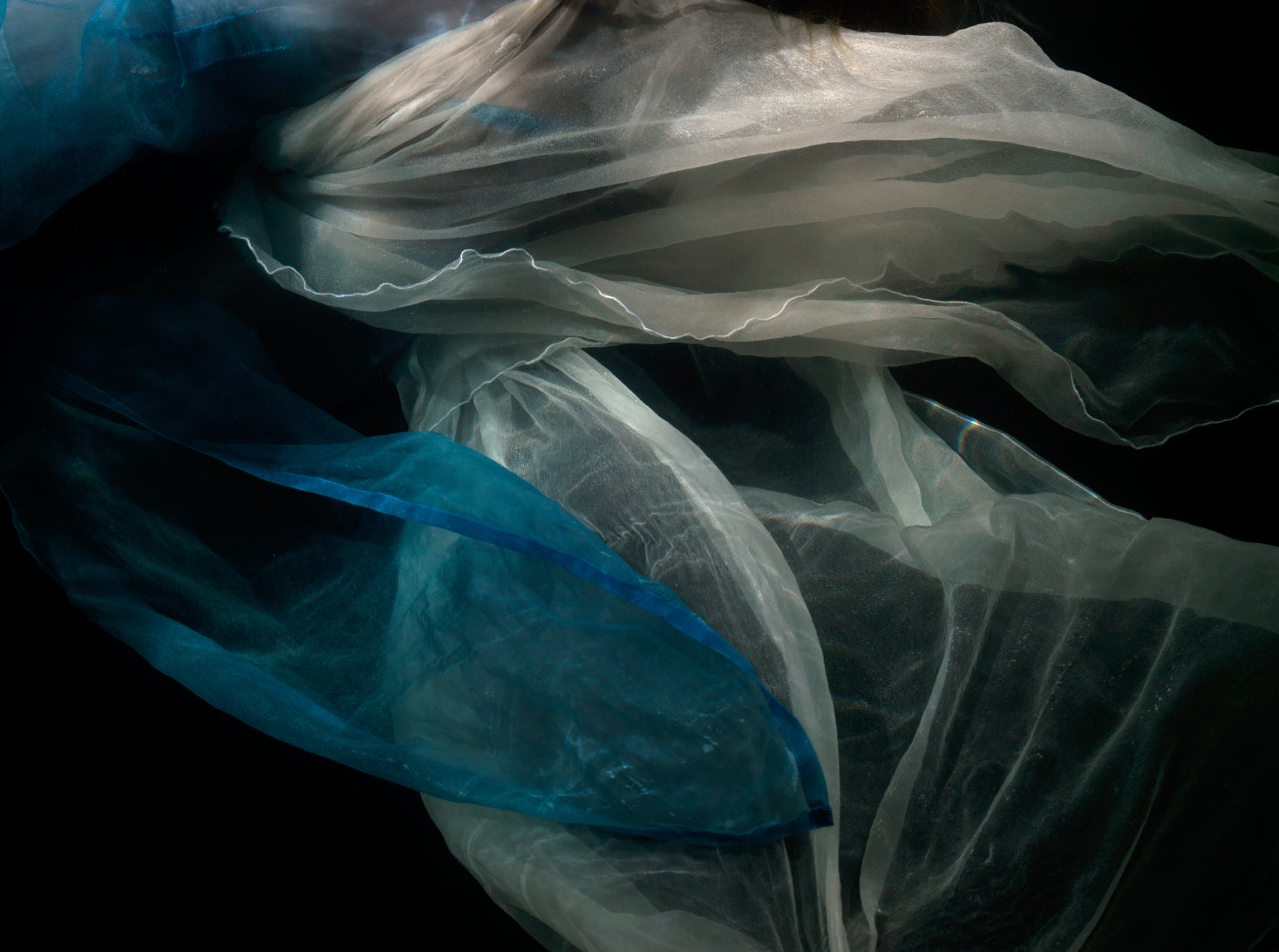 Abstract design with flowing blue and white fabric shapes on a unique archival pigment print.