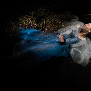 Additional view of Ophelia Plate 0262, underwater analogue photograph from the Ophelia series by Alexander James Hamilton