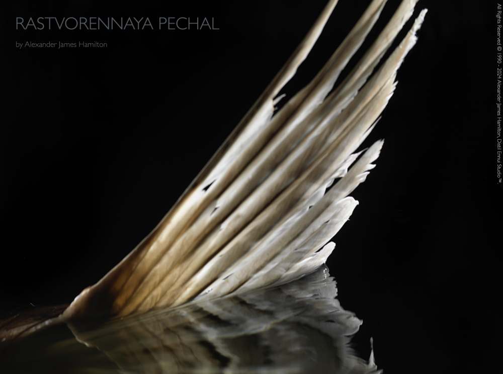 ‘Rastvorennaya Pechal’