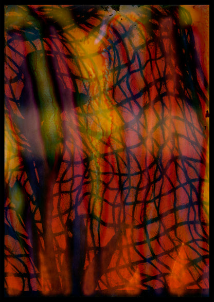 8 x 10 inch PhotoGram, Net & plastic vines