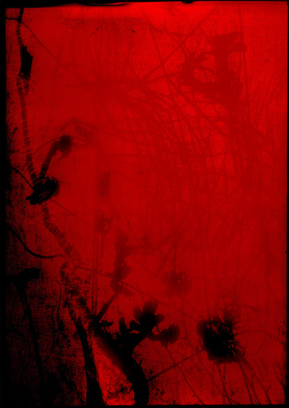 8 x 10 inch PhotoGram, Green buds & net