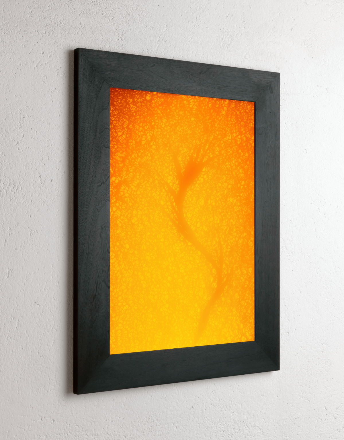 Left side view of 8 x 10 inch PhotoGram, Plate 0040, direct analogue PhotoGram by Alexander James Hamilton