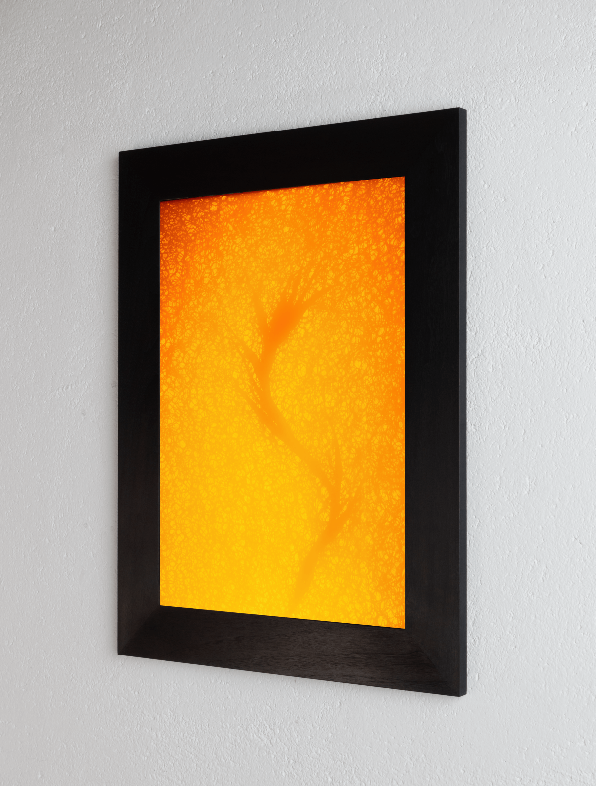 Right side view of 8 x 10 inch PhotoGram, Plate 0040, direct analogue PhotoGram by Alexander James Hamilton