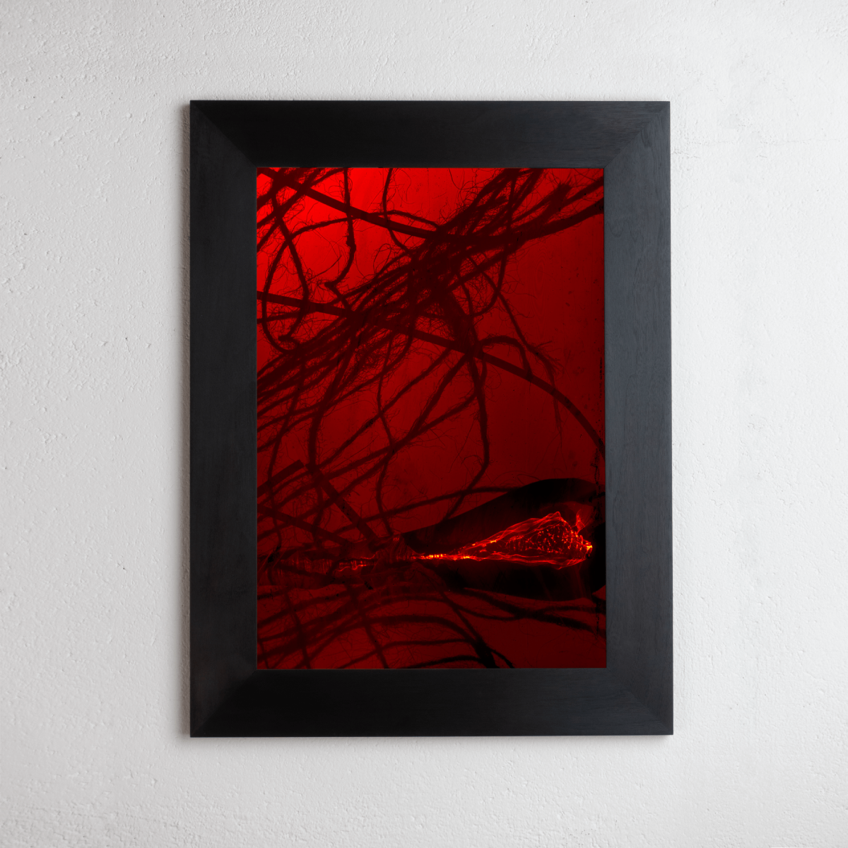 8 x 10 inch PhotoGram, Plate 0091, direct analogue PhotoGram by Alexander James Hamilton