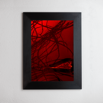 8 x 10 inch PhotoGram, Rope & glass