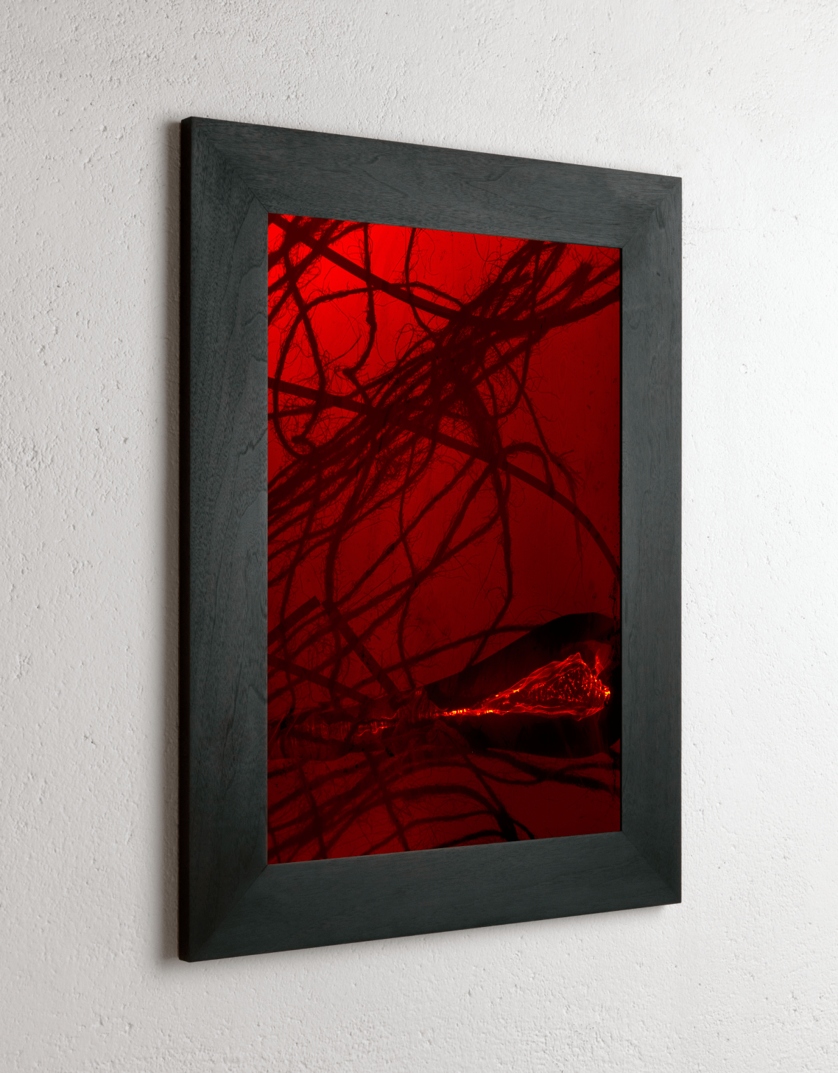 Left side view of 8 x 10 inch PhotoGram, Plate 0091, direct analogue PhotoGram by Alexander James Hamilton