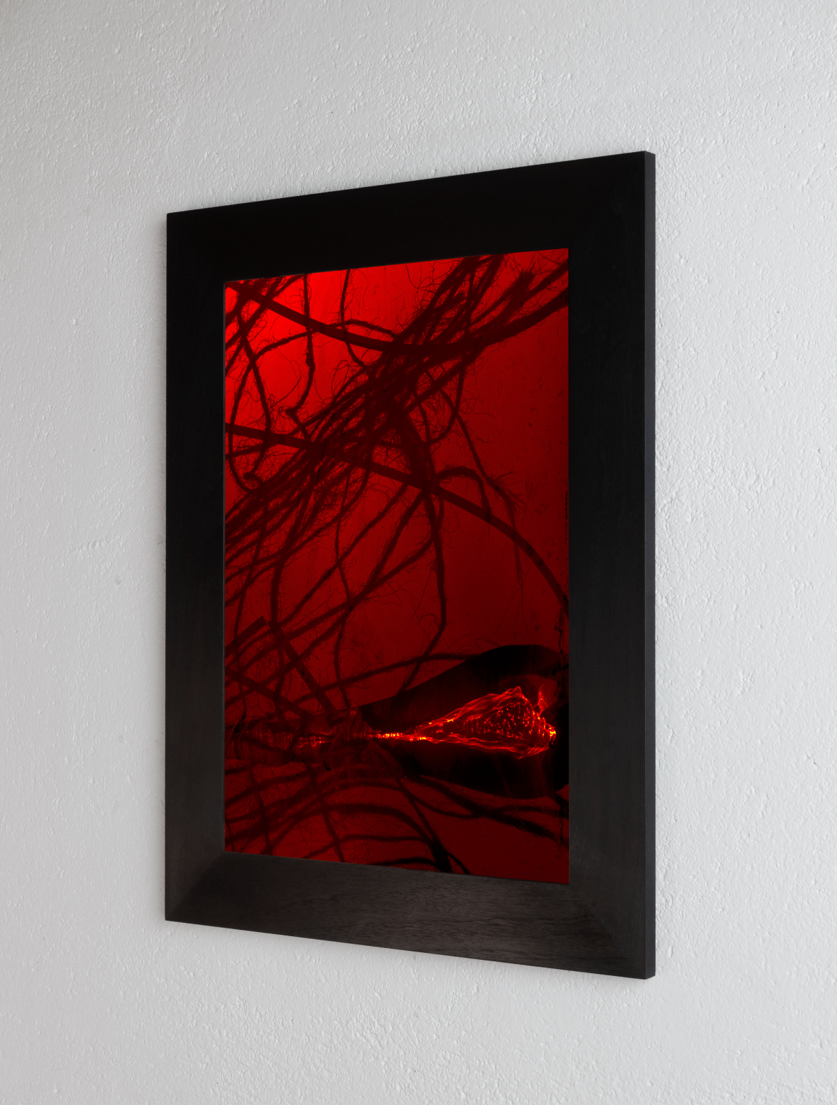 Right side view of 8 x 10 inch PhotoGram, Plate 0091, direct analogue PhotoGram by Alexander James Hamilton