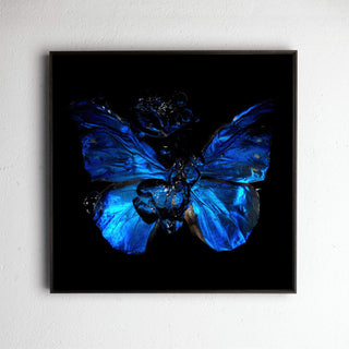 Transparency of a dream No. 8-0816, underwater analogue butterfly photograph by Alexander James Hamilton