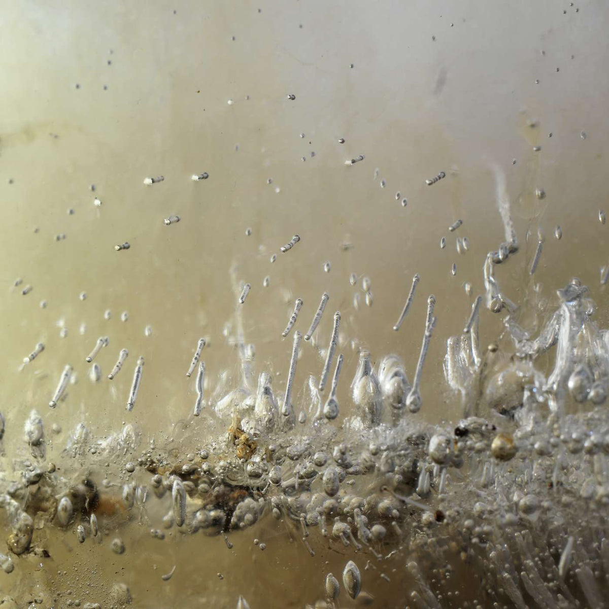 Additional view of Spawn Preparation, analogue photograph exploring oil, water and light by Alexander James Hamilton