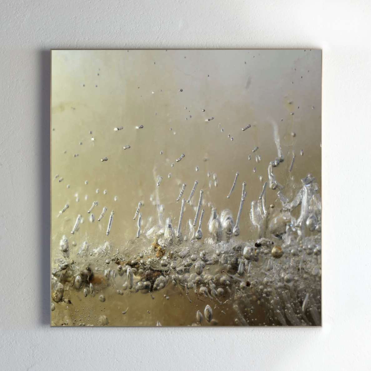 Framing and presentation detail for Spawn Preparation, analogue photographic work by Alexander James Hamilton